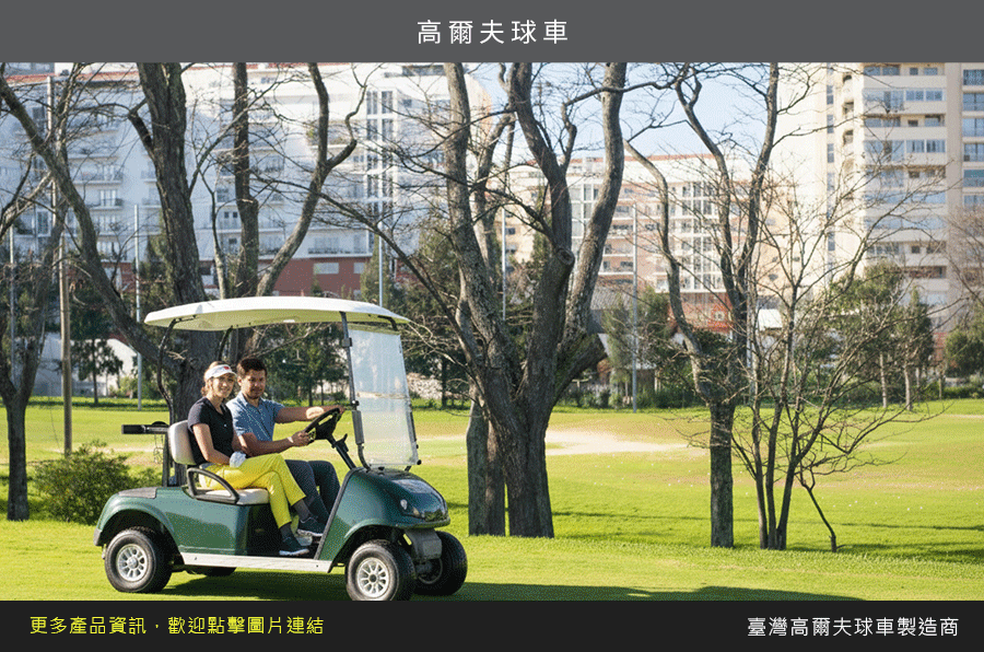 MEAN WELL DDR-480C Series